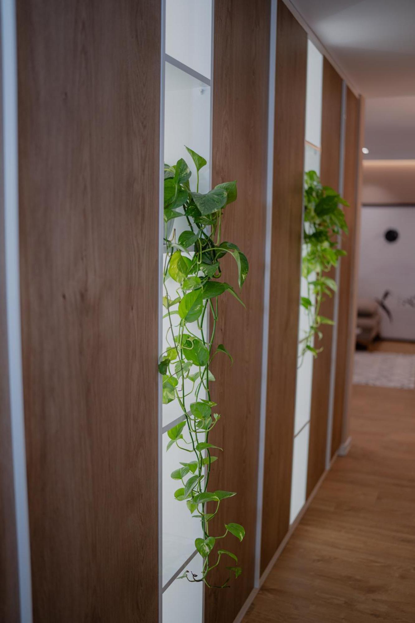 Lake Drive Rooms&Apartments Tirana Exterior photo